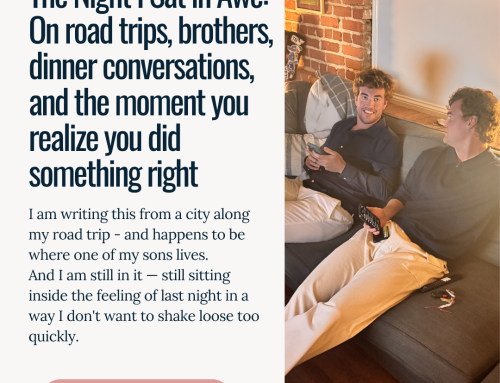 The Night I Sat in Awe: On road trips, brothers, dinner conversations, and the moment you realize you did something right